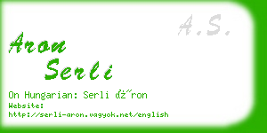 aron serli business card